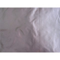 20d Nylon Taffeta Fabric for Down Coat (XSN001)